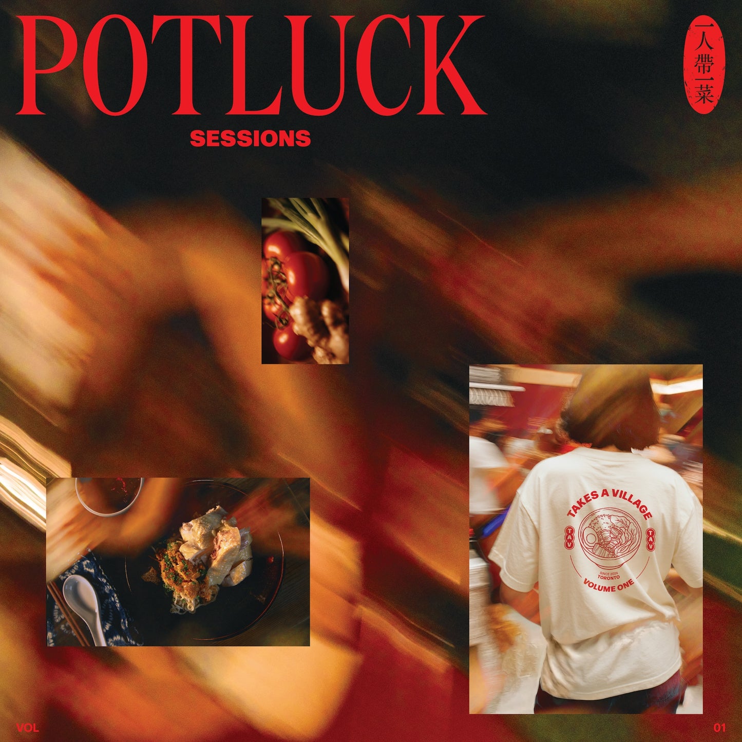"Potluck Sessions Vol. 1" Album Vinyl
