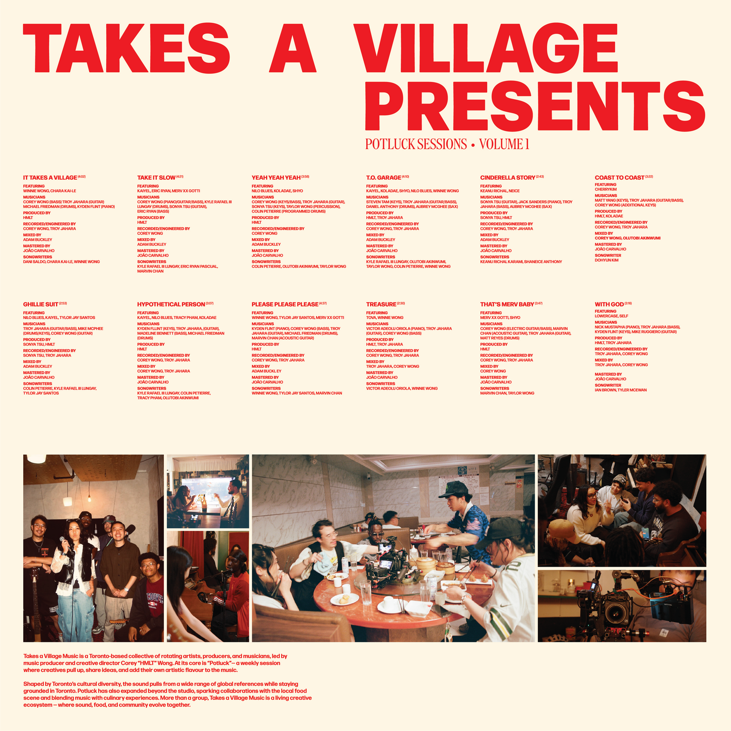 "Potluck Sessions Vol. 1" Album Vinyl
